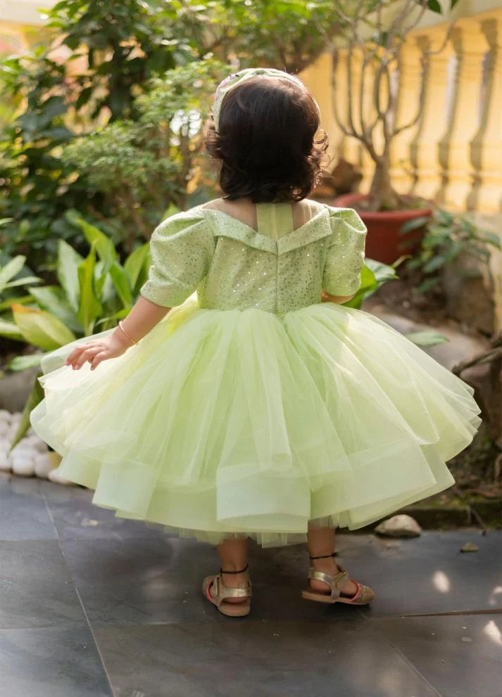Humming Bird Dress