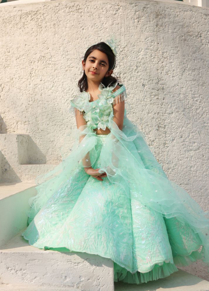 Embroidere Lehenga Choli