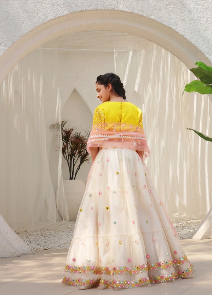 Mirror Embroidered Choli with Lehenga