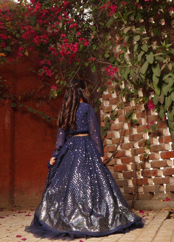 Embroidered Lehenga Choli Set