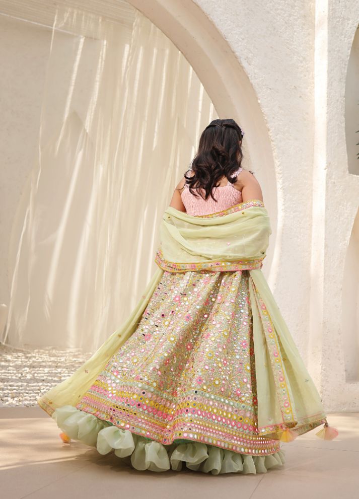 Embroidered Choli with Lehenga