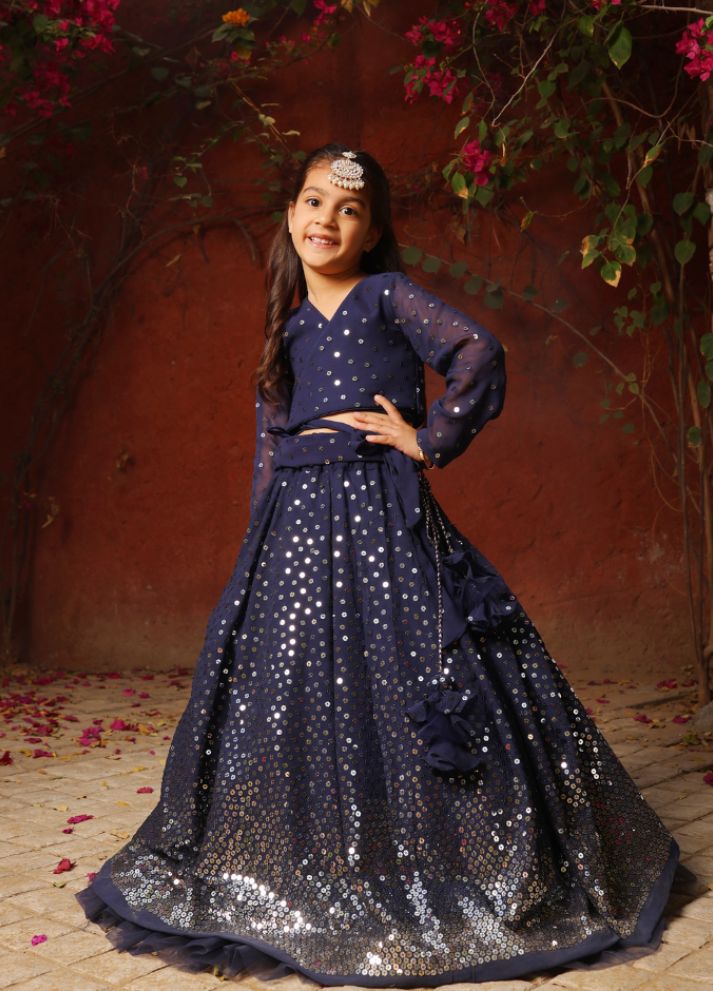 Embroidered Lehenga Choli Set