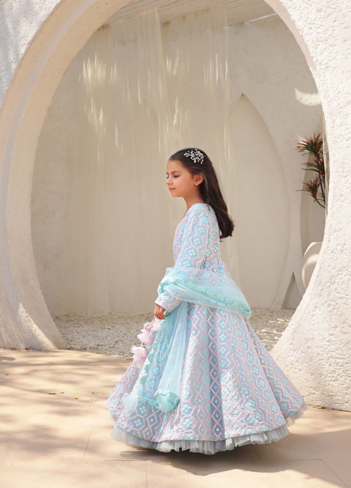 Mirror Embroidered Anarkali