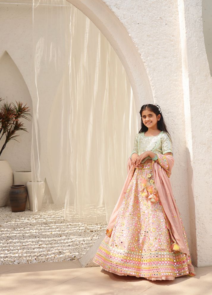 Embroidered Choli with Lehenga