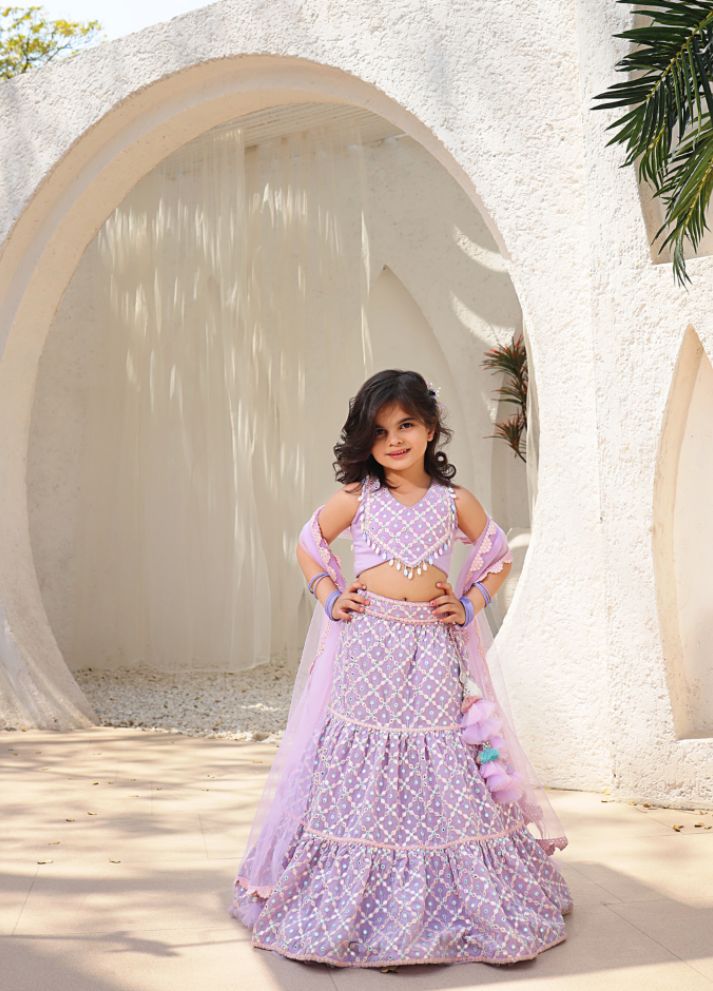 Embroidered Top with Lehenga