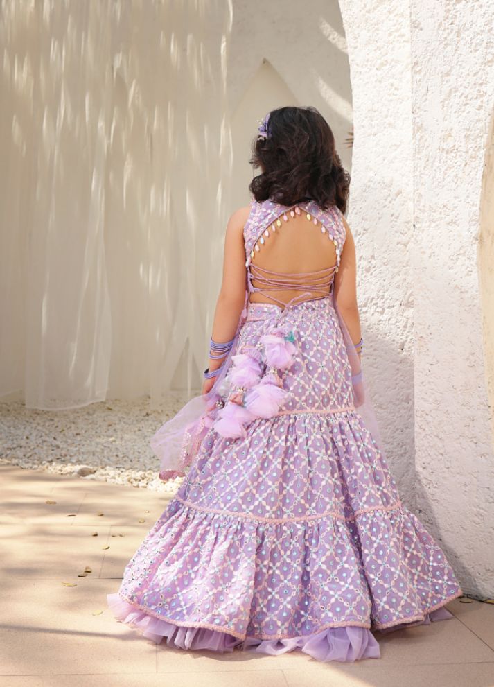 Embroidered Top with Lehenga