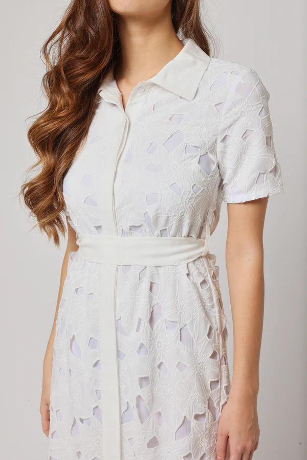 Gul – A Bloom of Timeless Elegance