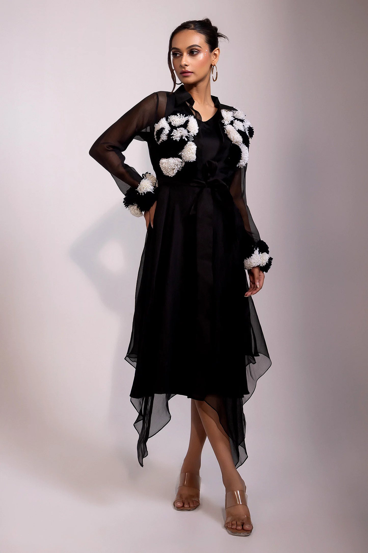 Black Sheer Organza Overlay Dress with Textured Embroidery