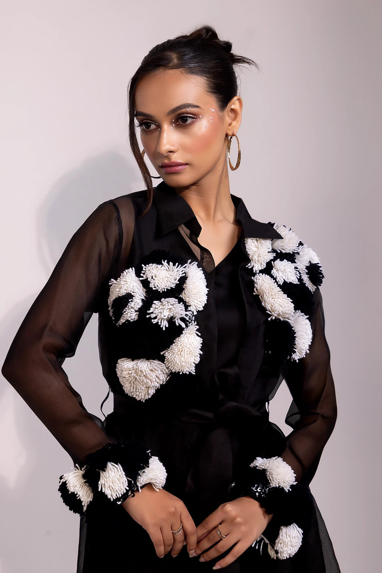 Black Sheer Organza Overlay Dress with Textured Embroidery