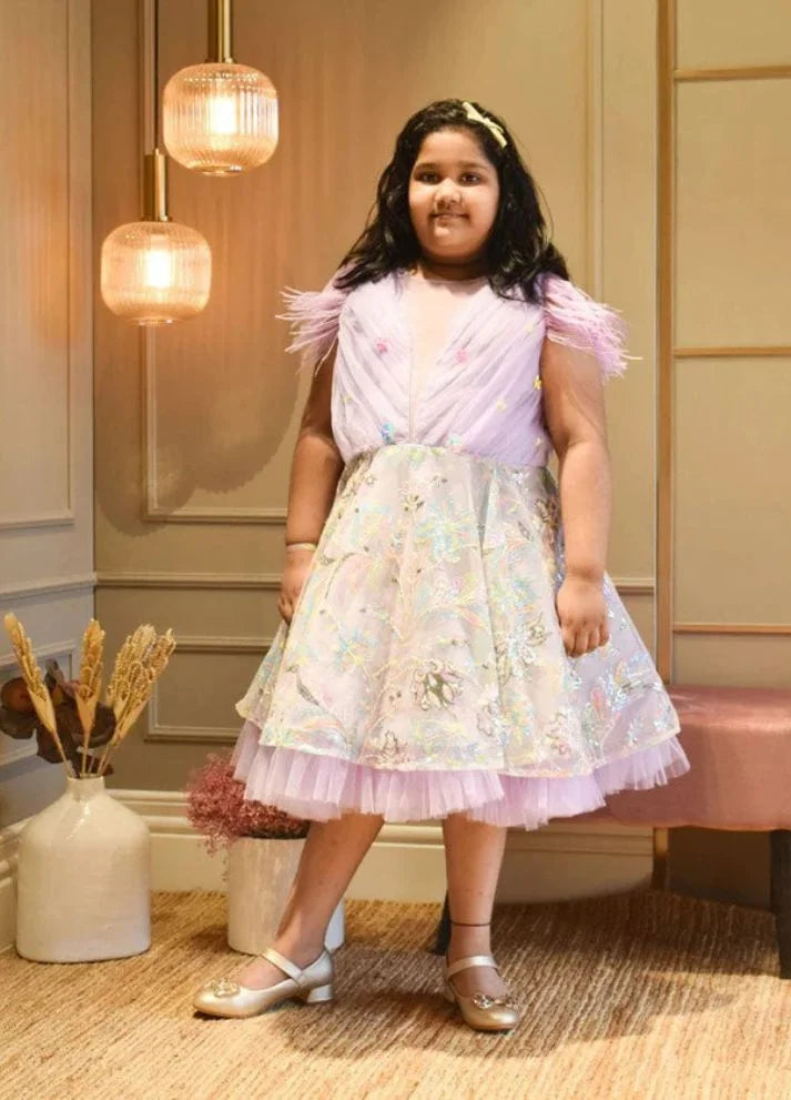 Embroidery Net Dress