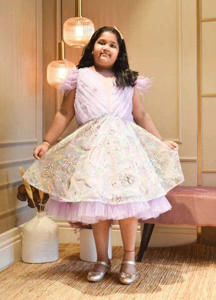 Embroidery Net Dress