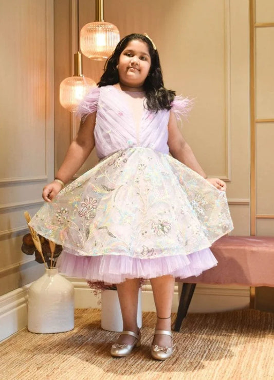 Embroidery Net Dress