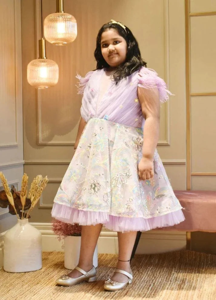 Embroidery Net Dress