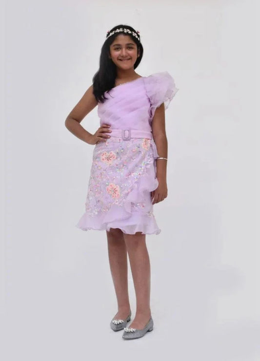 Embroidery and Organza Dress