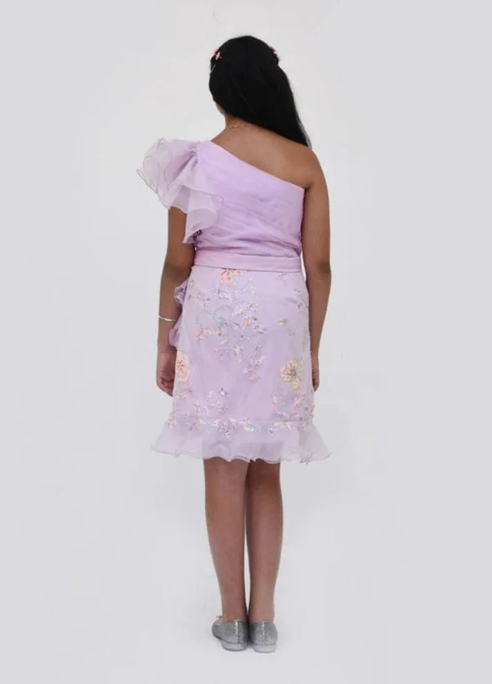 Embroidery and Organza Dress