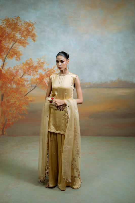 Golden Mirror Gharara Set