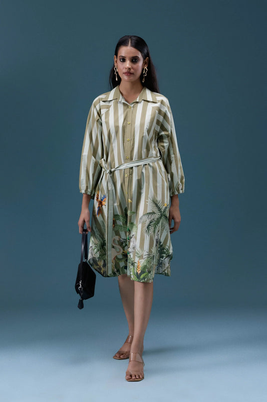 Green Stripe Printed Shirt Dress
