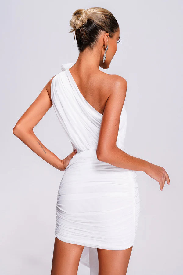 Margaret Mesh Mini Dress