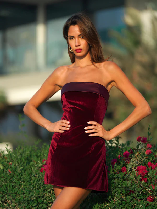 Merlot Mystique Red Velvet Mini Dress