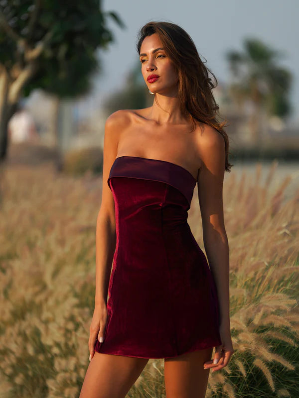 Merlot Mystique Red Velvet Mini Dress