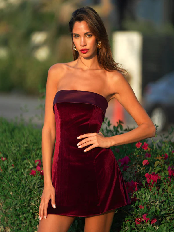 Merlot Mystique Red Velvet Mini Dress
