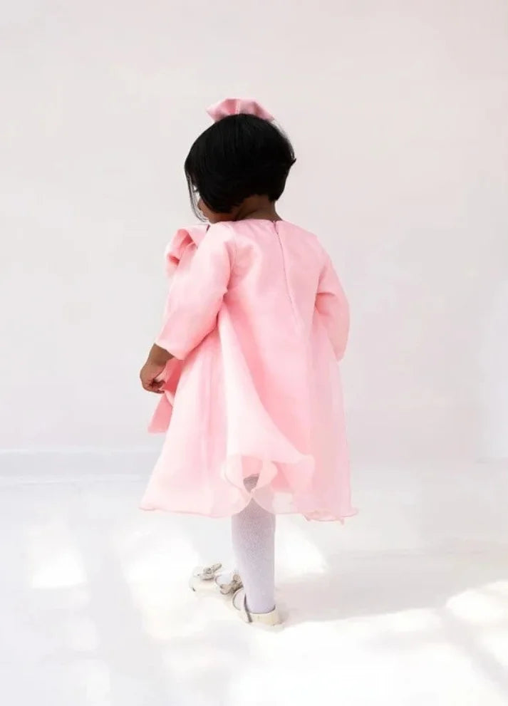 Organza Dress