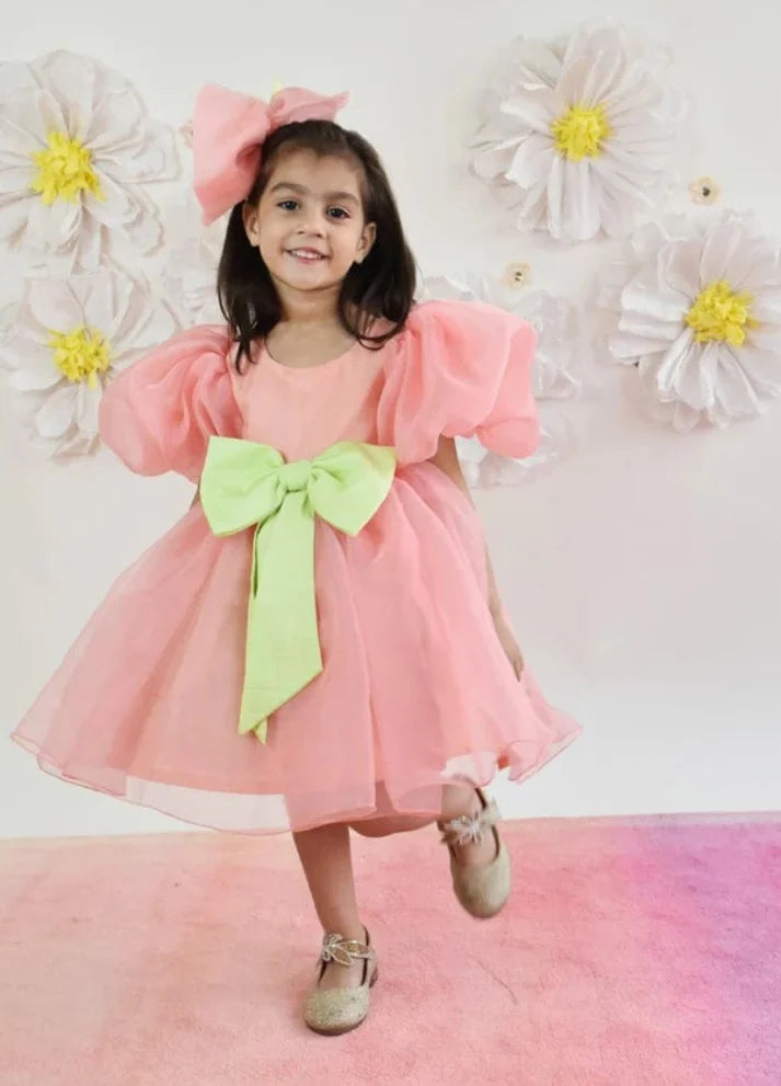Organza Dress