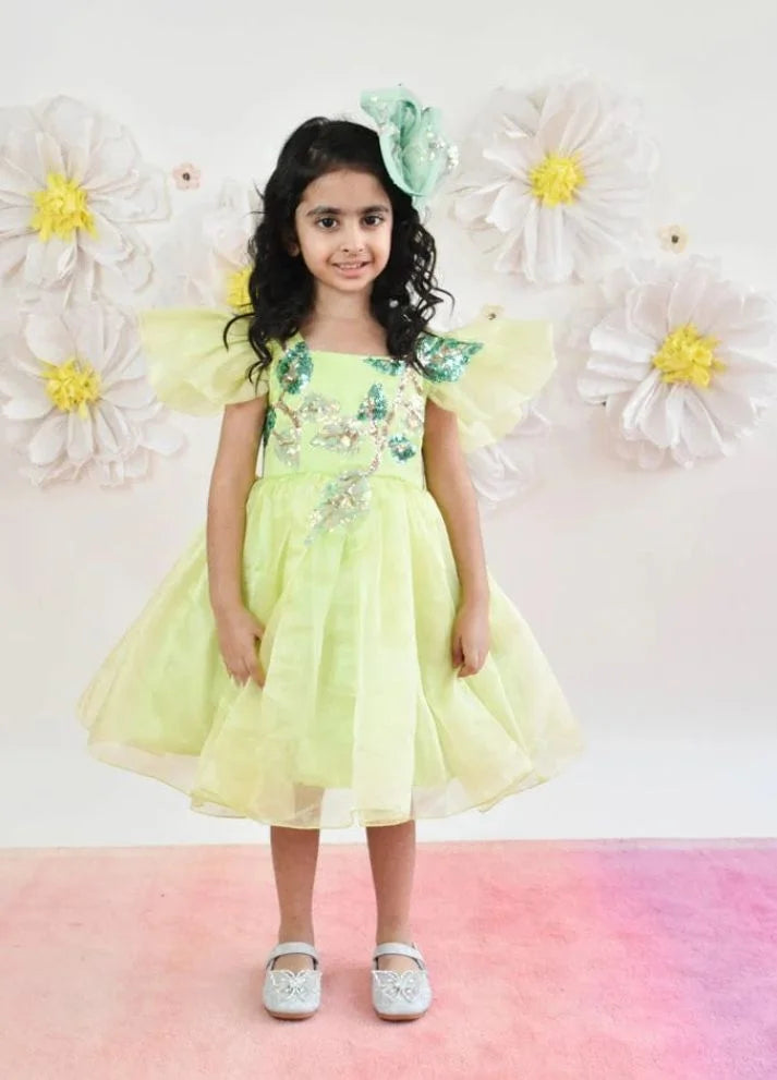 Organza Dress