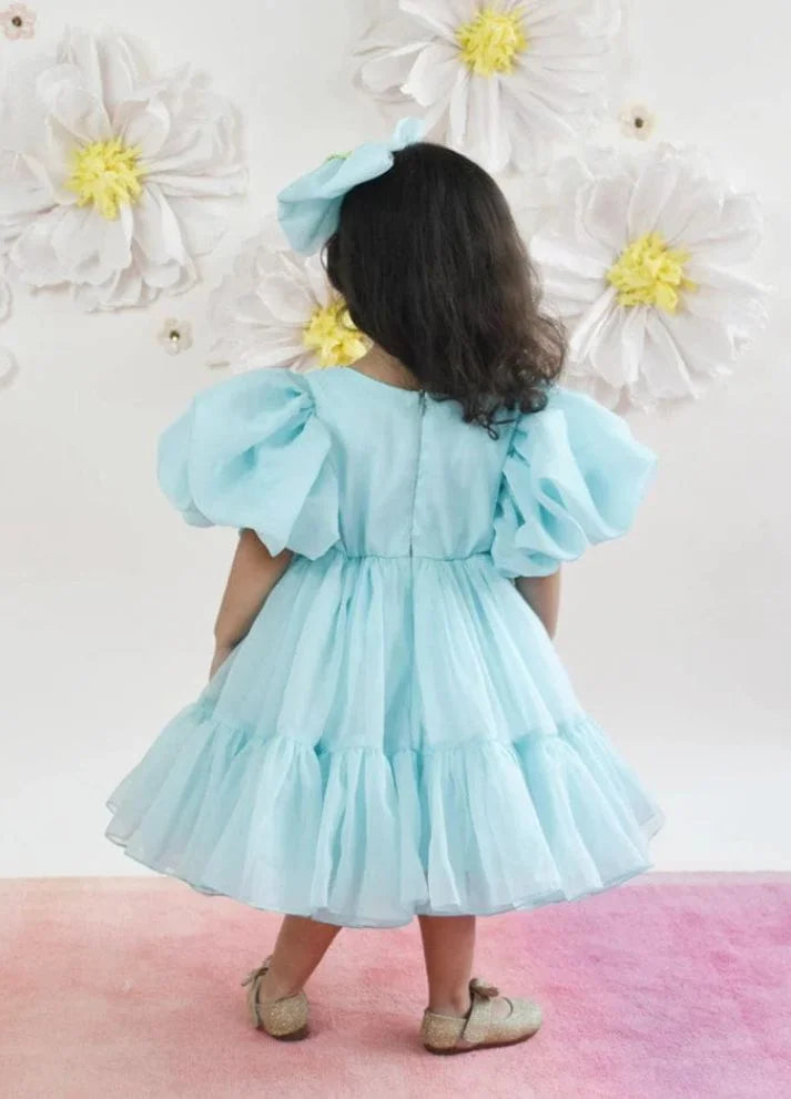 Organza Dress