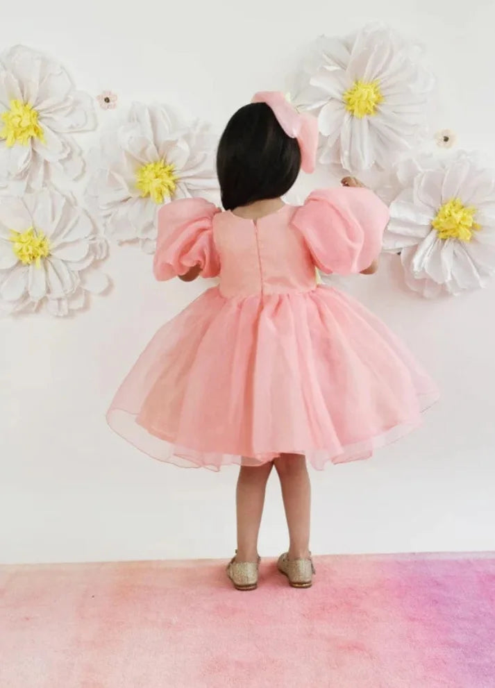 Organza Dress
