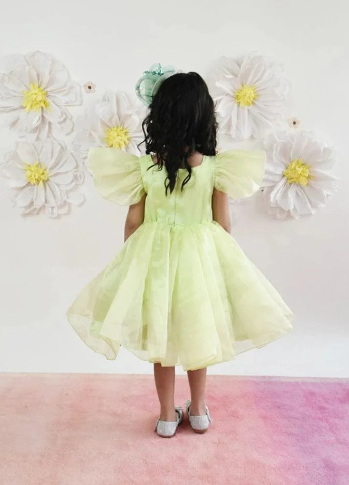 Organza Dress
