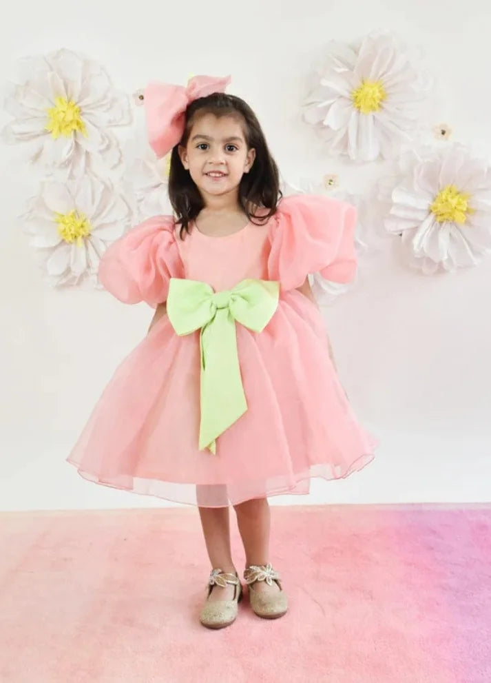 Organza Dress