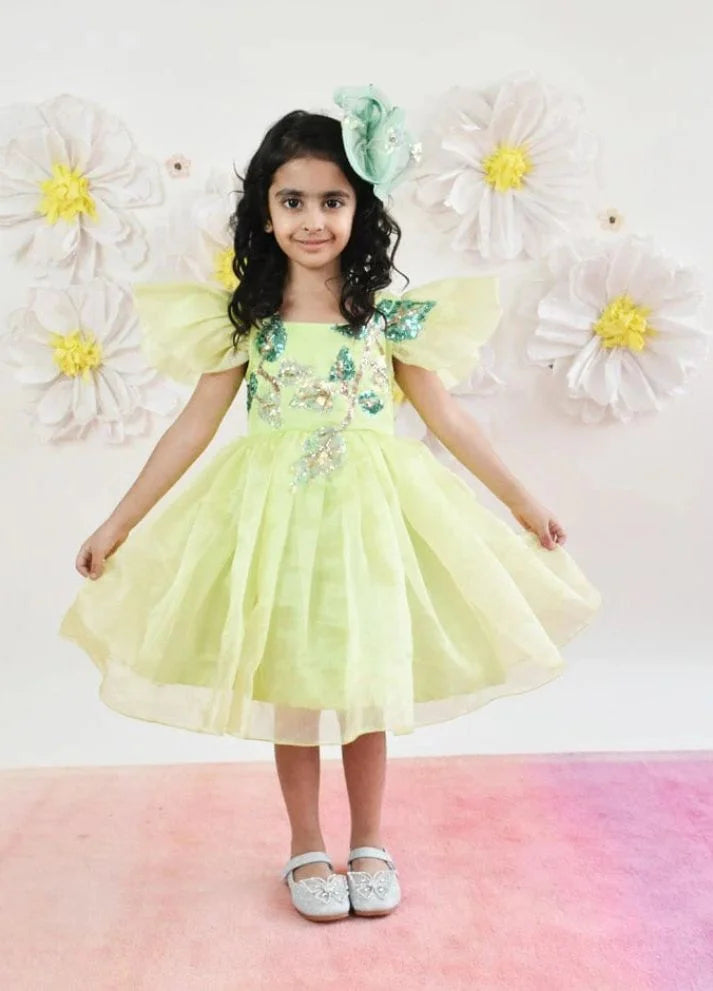 Organza Dress