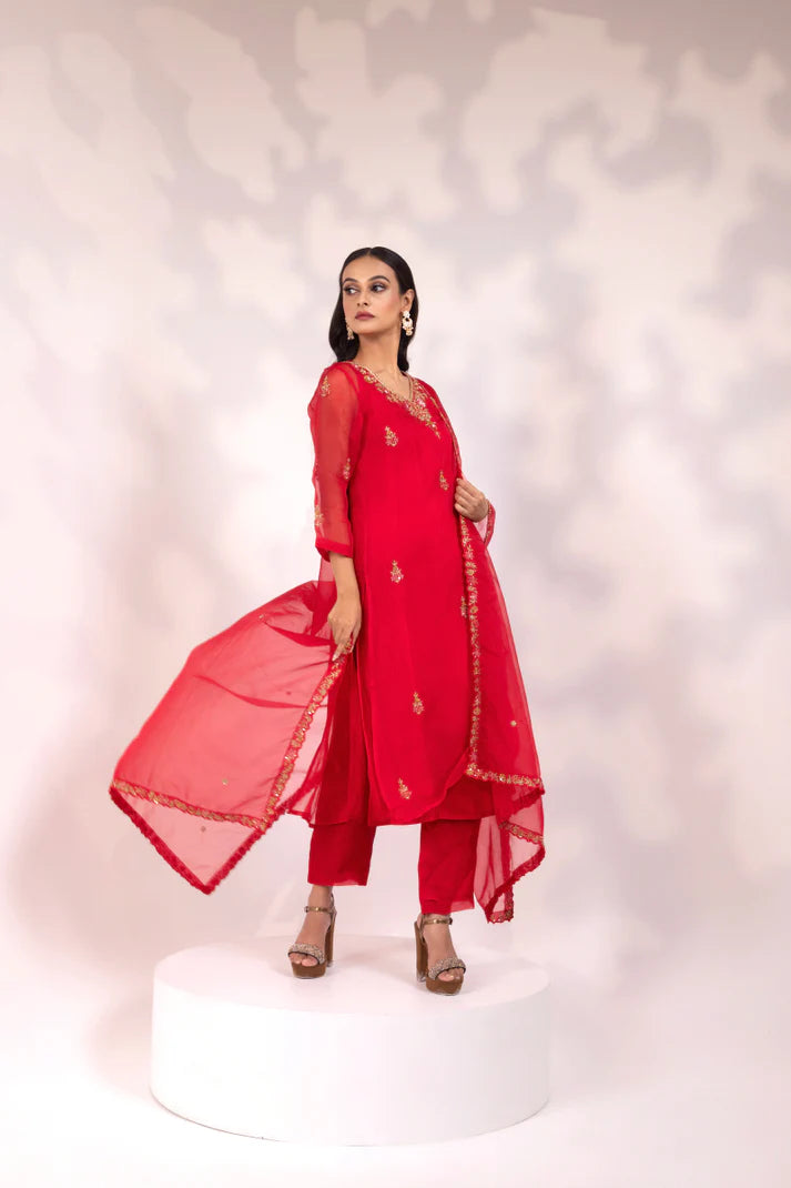 Red Embroidered Anarkali with Sheer Dupatta