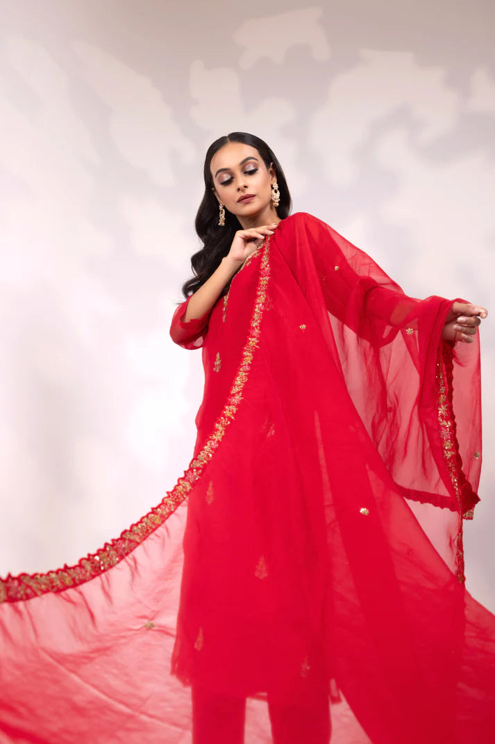 Red Embroidered Anarkali with Sheer Dupatta