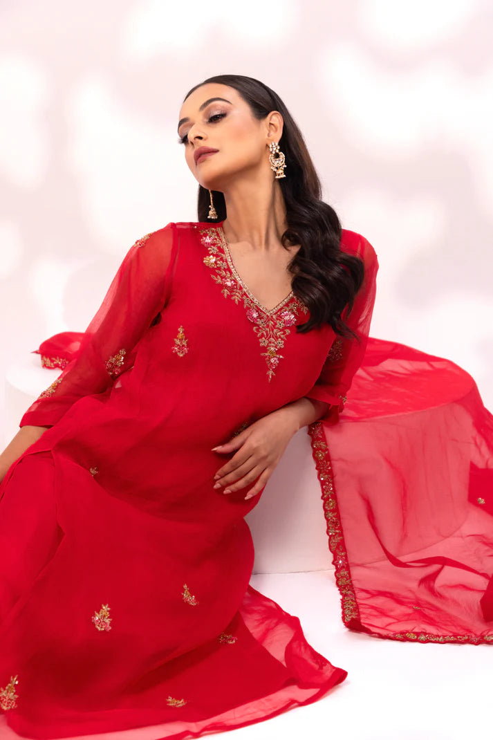 Red Embroidered Anarkali with Sheer Dupatta