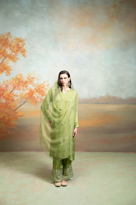 Emerald Organza Kurta Set