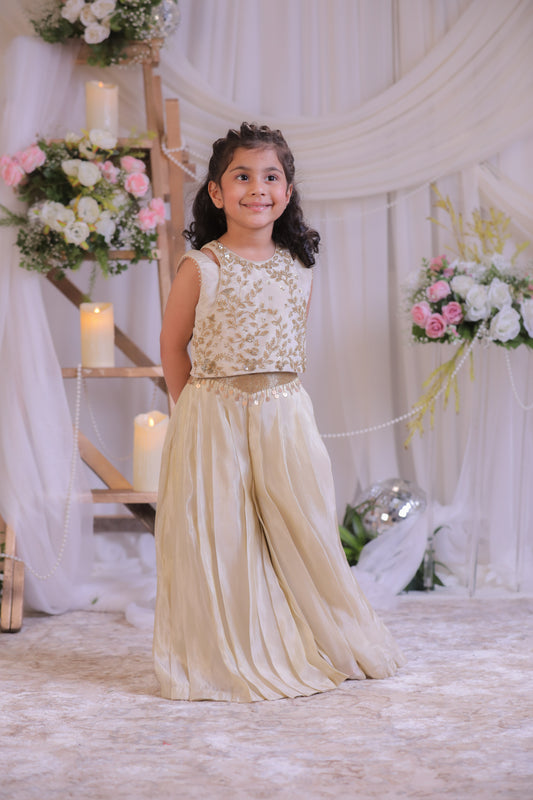 Kutdana Embroidered Palazzo