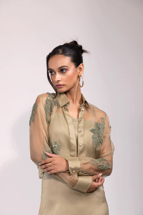 Sage Green Organza Overlay Set