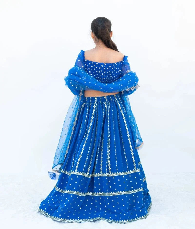 Blue Embroidered Lehenga Set
