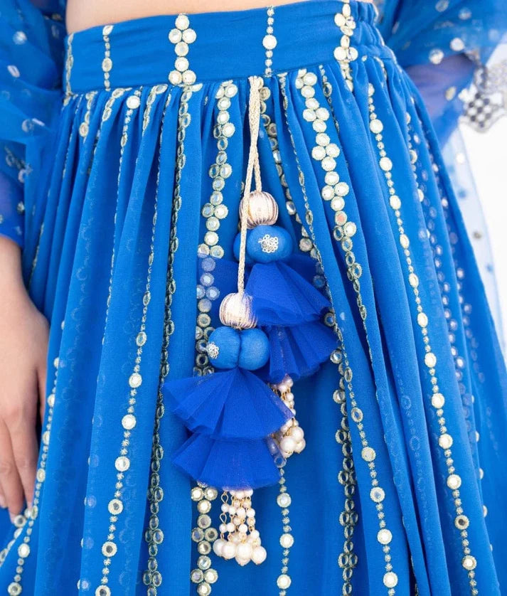 Blue Embroidered Lehenga Set