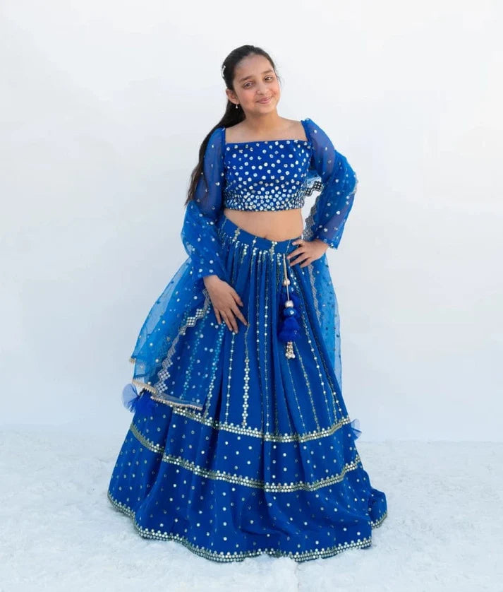 Blue Embroidered Lehenga Set