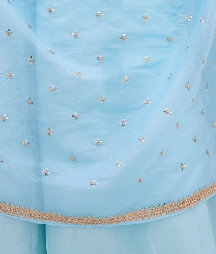 Blue Embroidered Lehenga Set with Cape