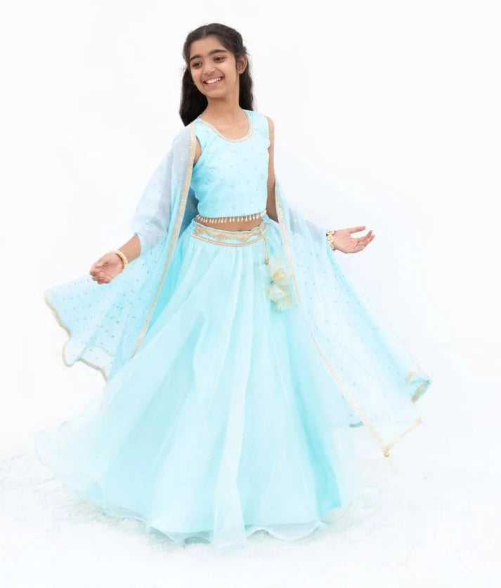 Blue Embroidered Lehenga Set with Cape