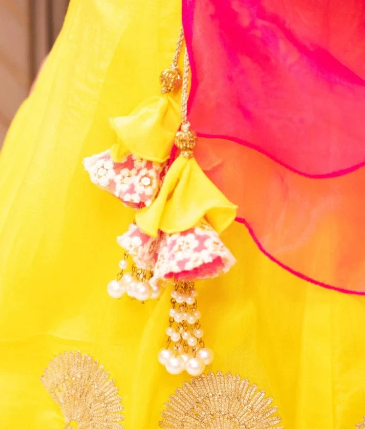 Pink Embroidered Choli with Lehenga Set