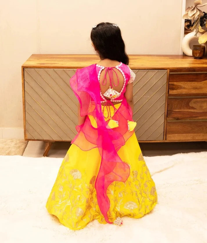 Pink Embroidered Choli with Lehenga Set