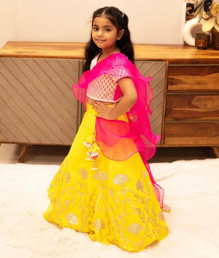 Pink Embroidered Choli with Lehenga Set