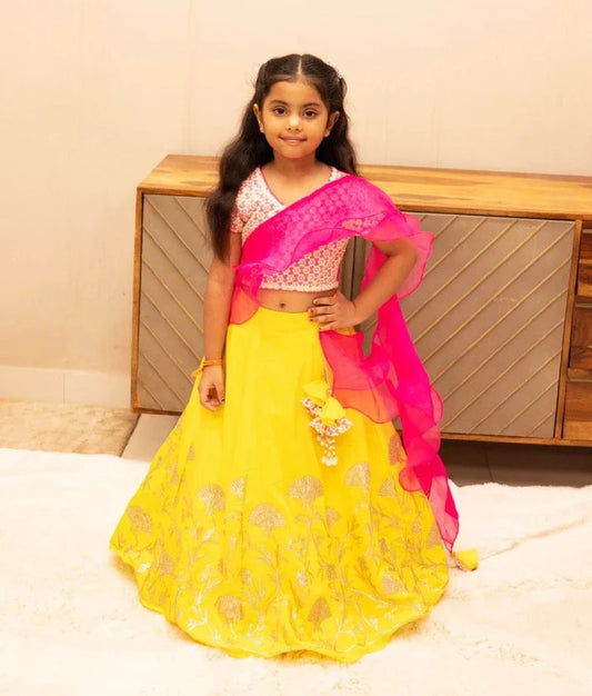 Pink Embroidered Choli with Lehenga Set