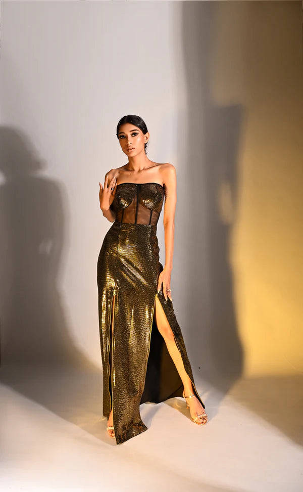 Metallic Mesh Gown 2.0