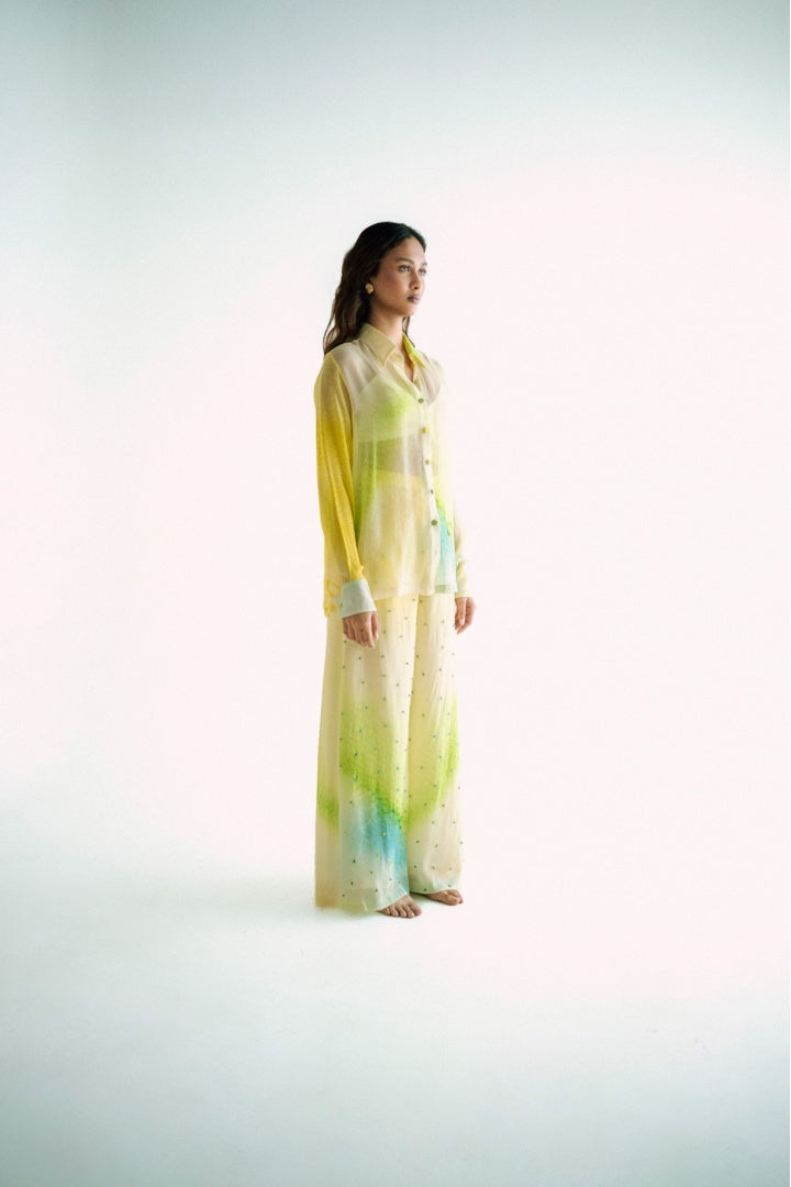Chiffon Printed Shirt with Embroidered  Printed Pants Yellow Shade
